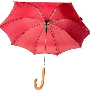 Premium Umbrella with Auto Open & Hard Shell Case